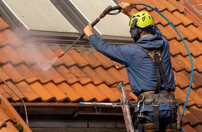 Démoussage et hydrofuge de toiture à Tronget
